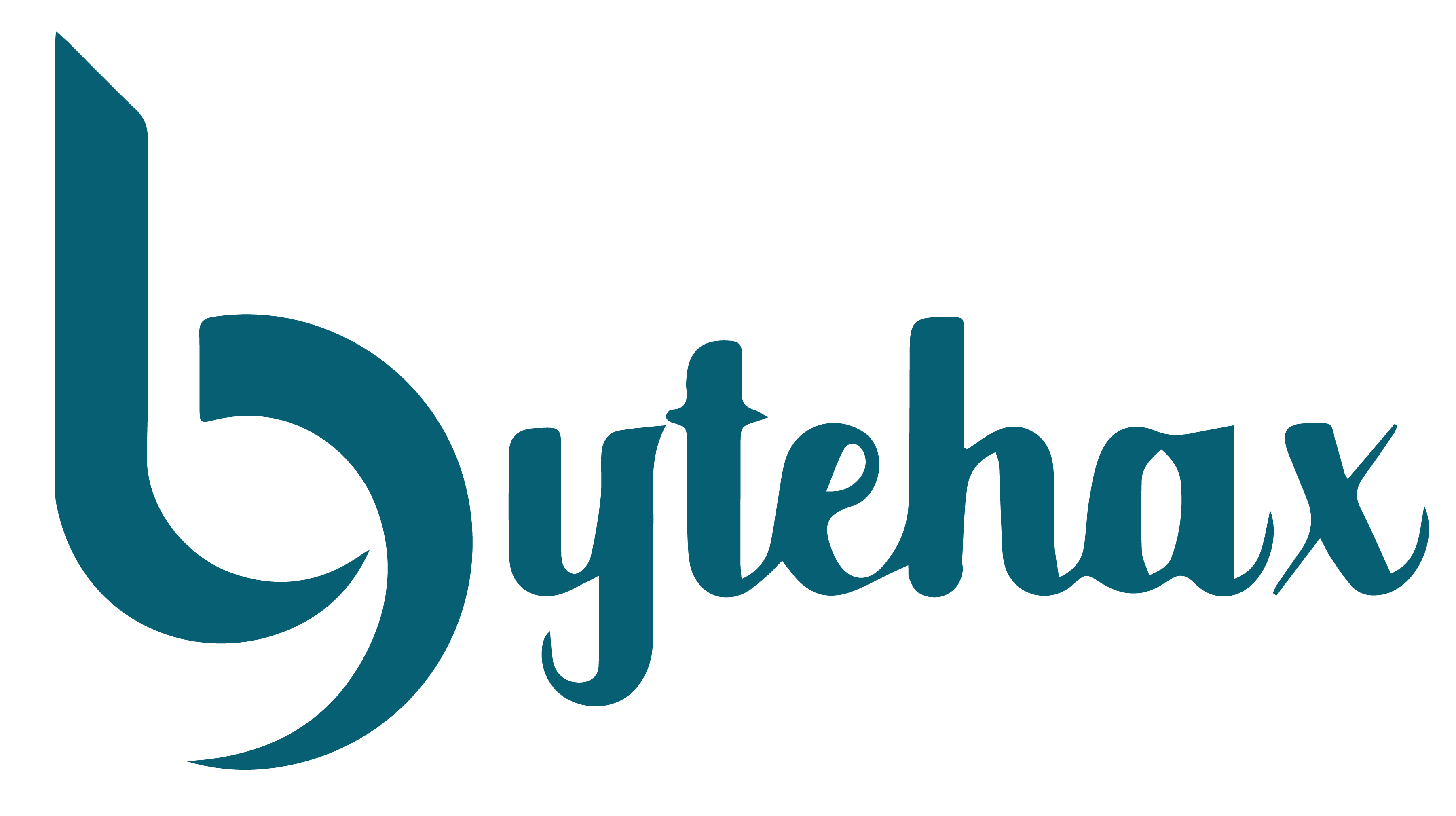 logo-bytehax